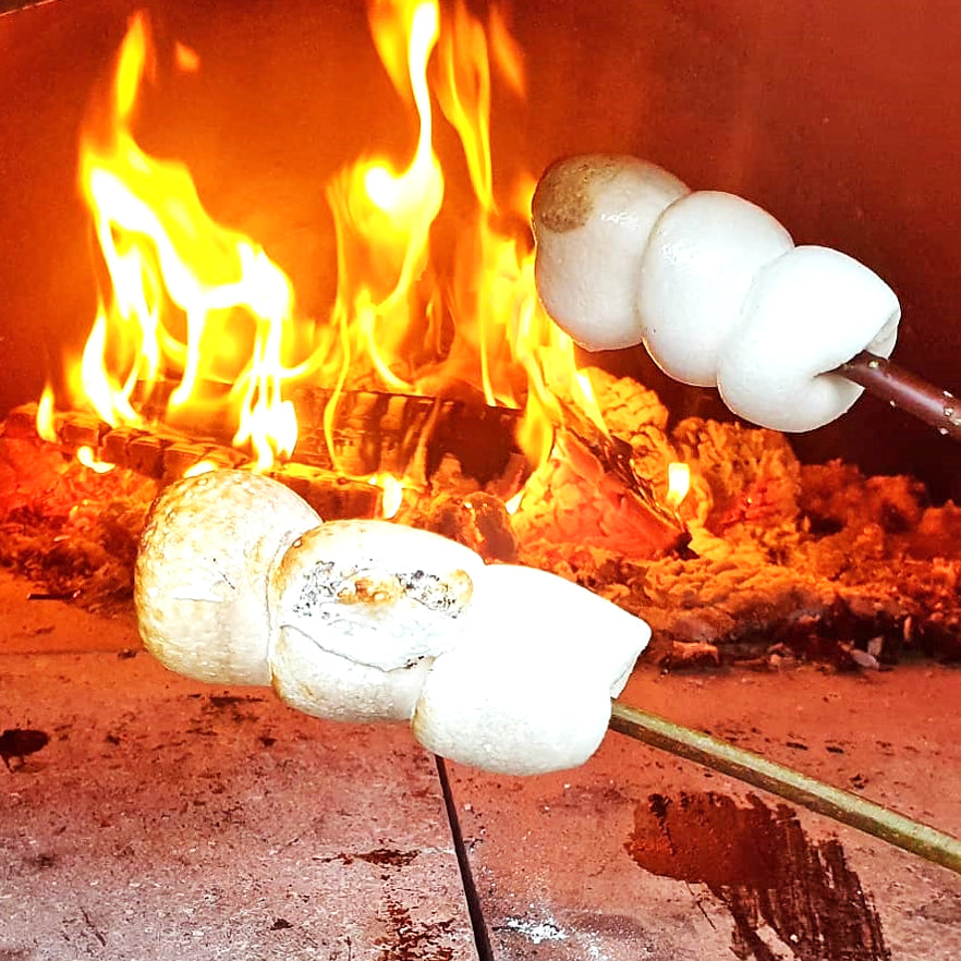 Igneus Bambino Wood Fired Pizza Oven