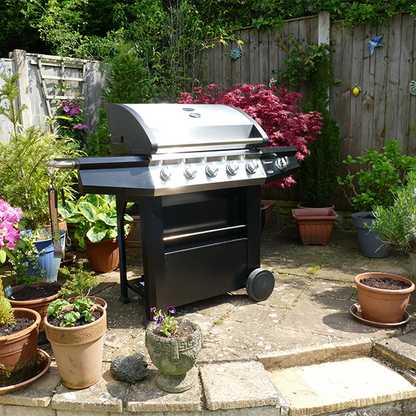 Dominica 5+1 Burners Gas BBQ With Side Burner
